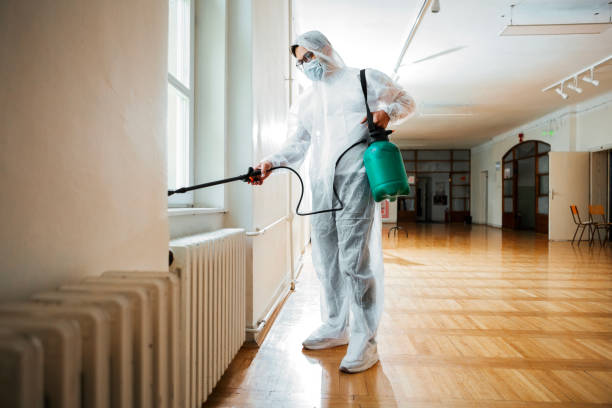 Best Pest Removal Services  in Rupert, WV